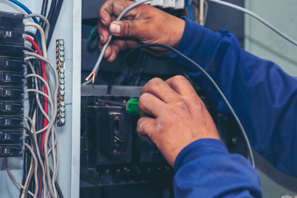 Best Electric Panel Repair  in Camdenton, MO